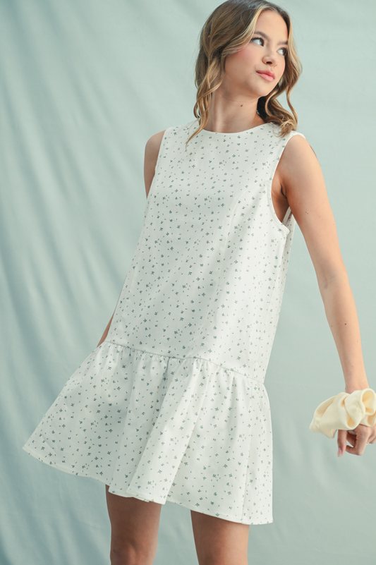 Floral Denim Mini Dress