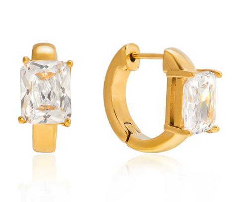Ashley Diamond Hoops